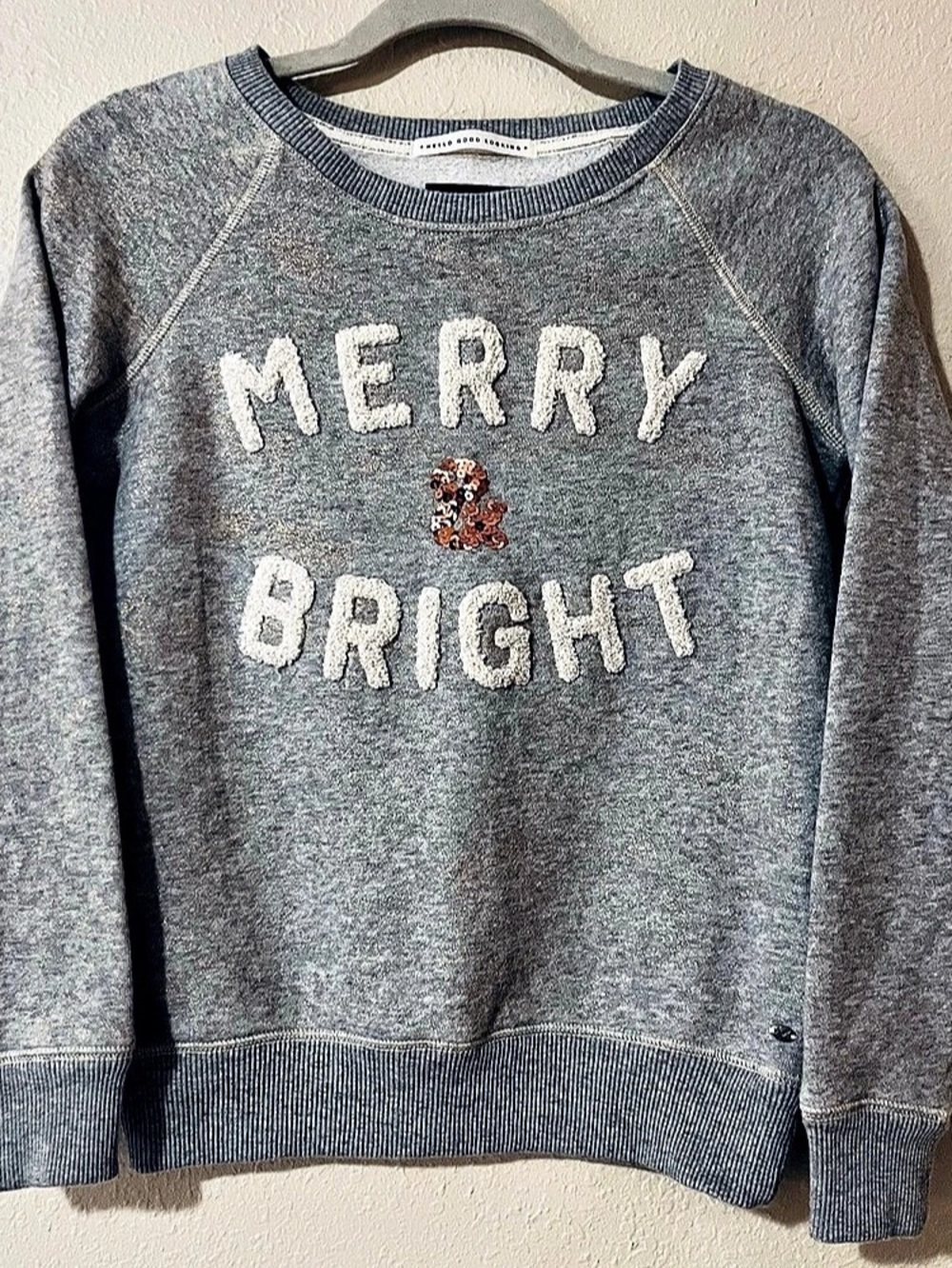 American Eagle Outfitters Merry & Bright Holiday Sweatshirt Gray & White XS